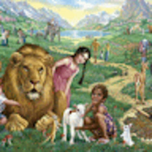 Meet your Posher, Natasha